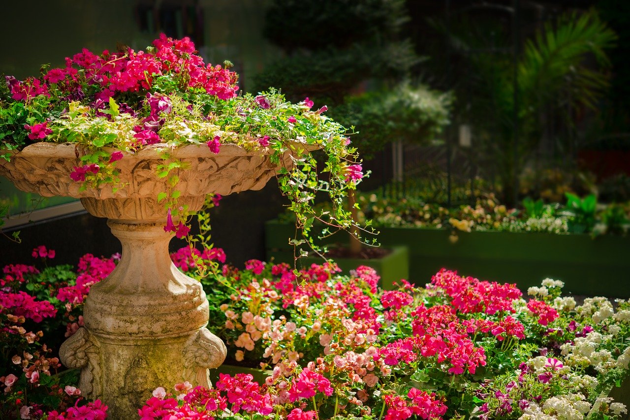 nature, garden, flowers